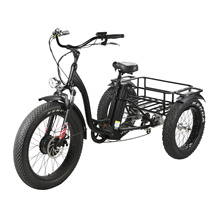 Adult Electric Bike Tricycle with Passenger Seat and Rear Basket